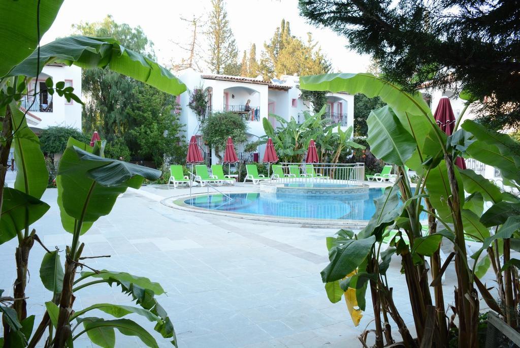 Villa Nergis Bitez Kültér fotó